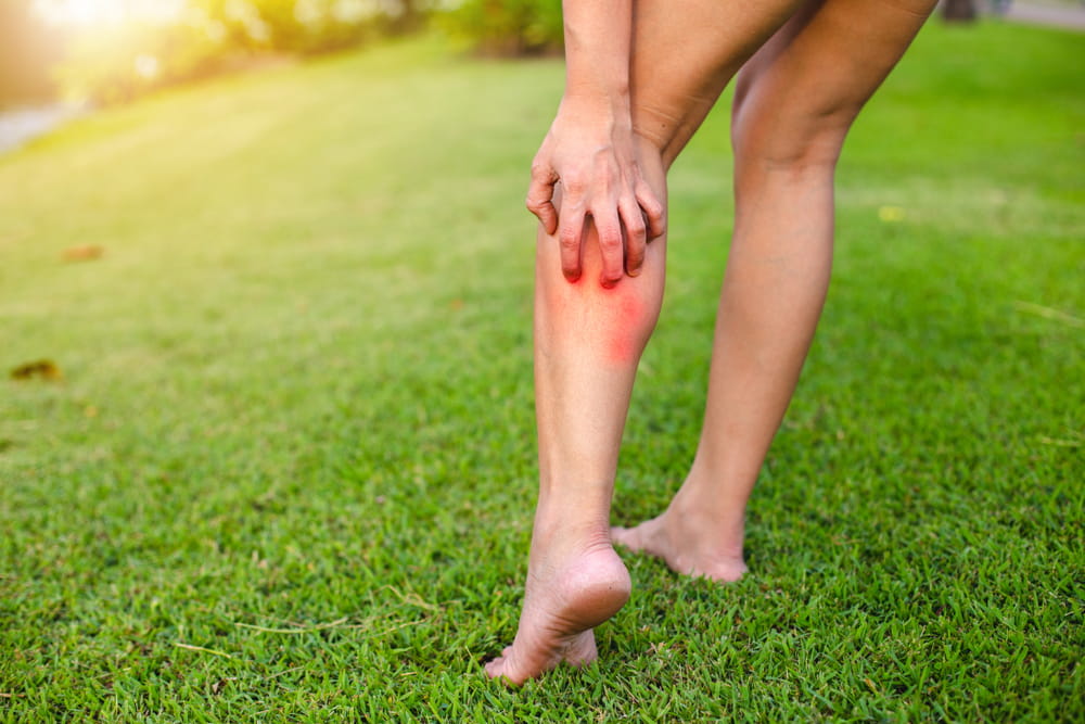 Inset Sting Allergy Testing & Treatment at UPMC